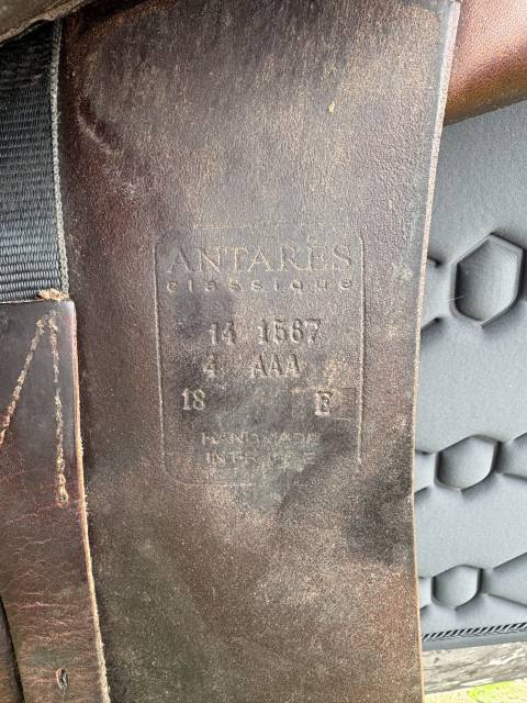 Selle Antares 