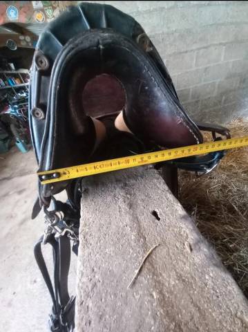 Selle type Mac lellan