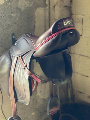 Selle cwd