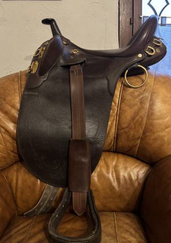 Selle australienne stock