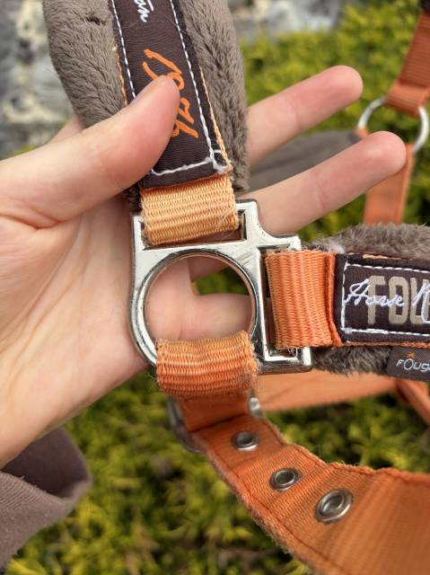 Licol taille cheval 