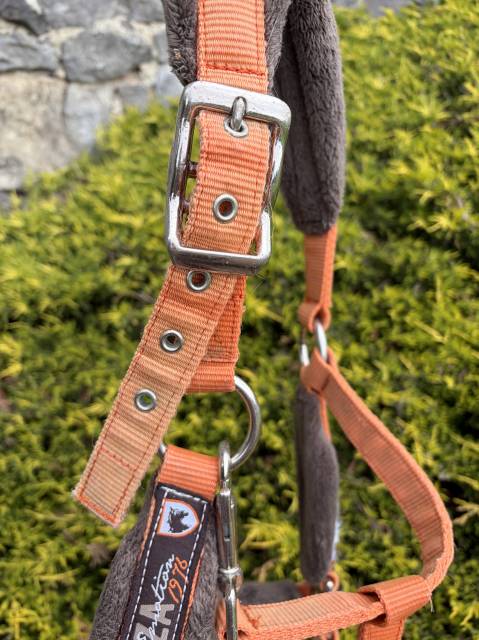 Licol taille cheval 