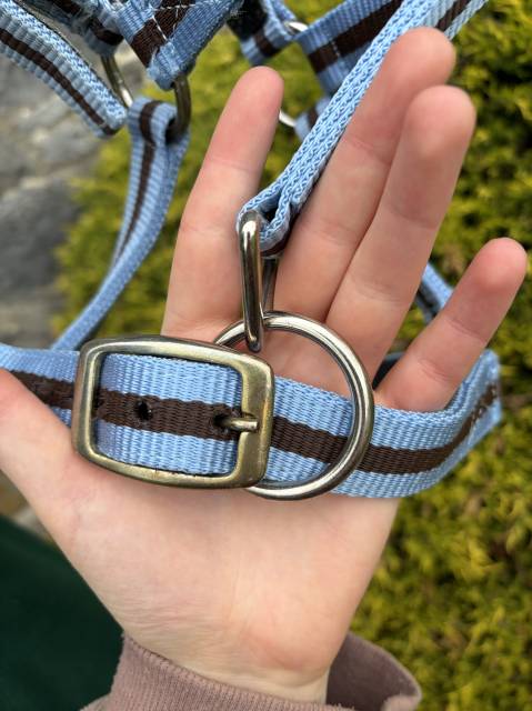Licol taille shetland