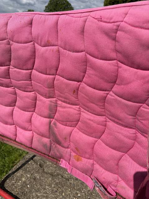 Tapis taille cheval/full