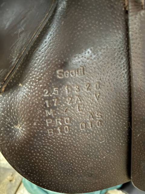 Selle Forestier S&eacute;oul 17  2025 