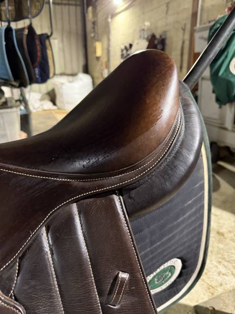 Selle Forestier S&eacute;oul 17  2025 