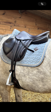 Selle forestier tr&egrave;s bon &eacute;tat
