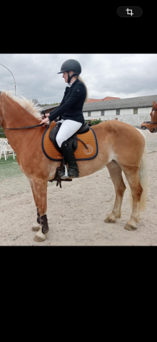 Selle forestier tr&egrave;s bon &eacute;tat