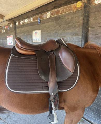 Selle Jump&rsquo;in 17,5