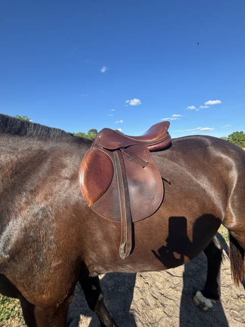 Selle cheval poney 