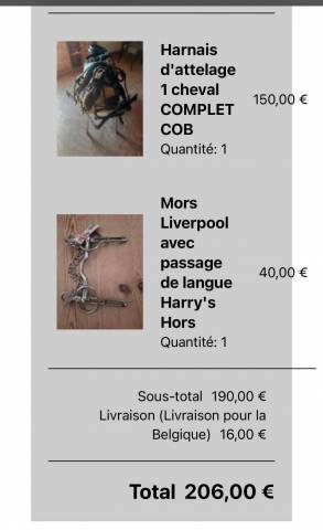 Harnais d&rsquo;attelage taille cob