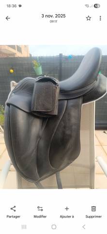 Selle de dressage 