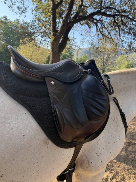 Selle mono quartier Hoffsteiner 