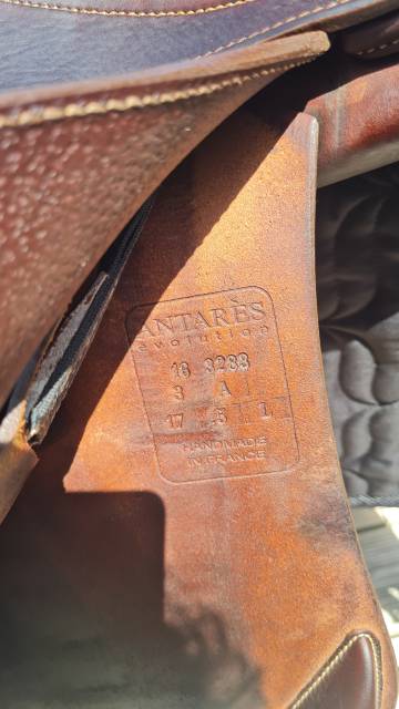 Selle Antares &Eacute;volution 