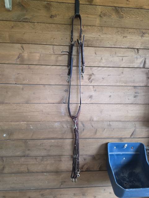 Collier de chasse &eacute;lastique grain&eacute; 3 points Antar&egrave;s 