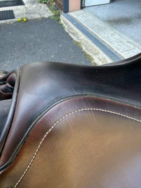 Selle d&rsquo;&eacute;quitation mixte 