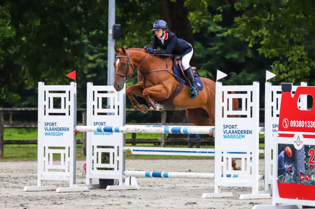 Hongre de 10ans cso/cce