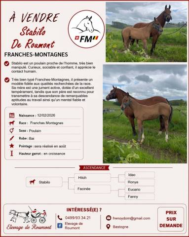 Franches montagnes