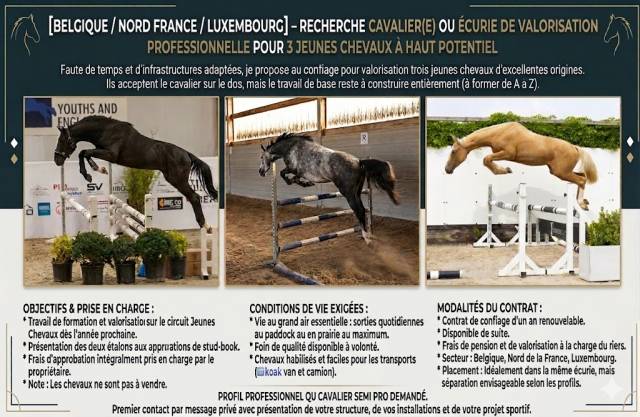  ? Valorisation PRO &ndash; 3 Jeunes Chevaux Cycles 2027 