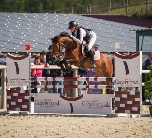 Poney CSO performant 6 ans