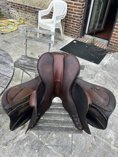 Selle Bruno Delgrange mod&egrave;le Ath&eacute;na ann&eacute;e 2018