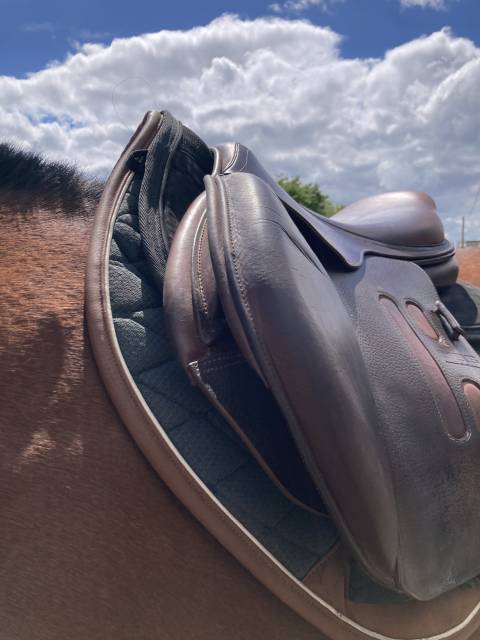 Selle GBS CSO 