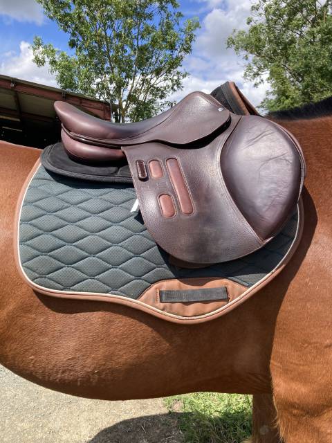Selle GBS CSO 