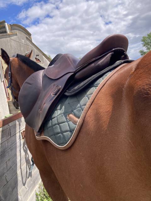 Selle GBS CSO 