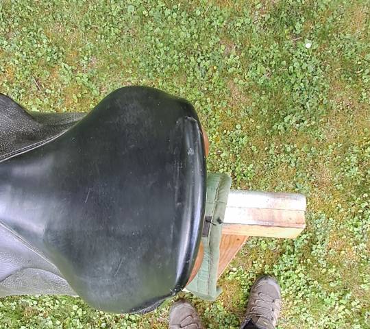 Selle Forestier mixte 16.5