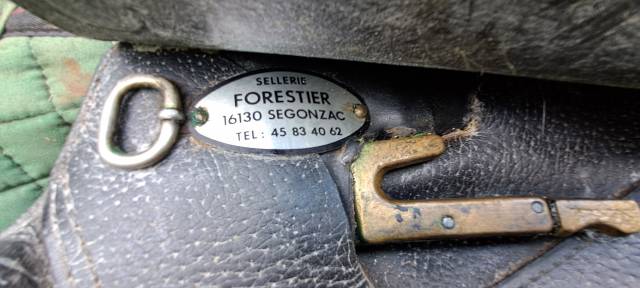 Selle Forestier mixte 16.5