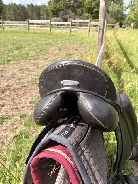 selle dressage Zaldi Sanjorge