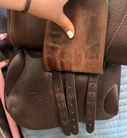 ❗️Baisse de prix ❗️Selle Forestier S&eacute;oul Pro 17,5&ldquo;