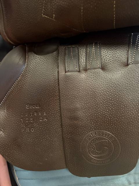 ❗️Baisse de prix ❗️Selle Forestier S&eacute;oul Pro 17,5&ldquo;