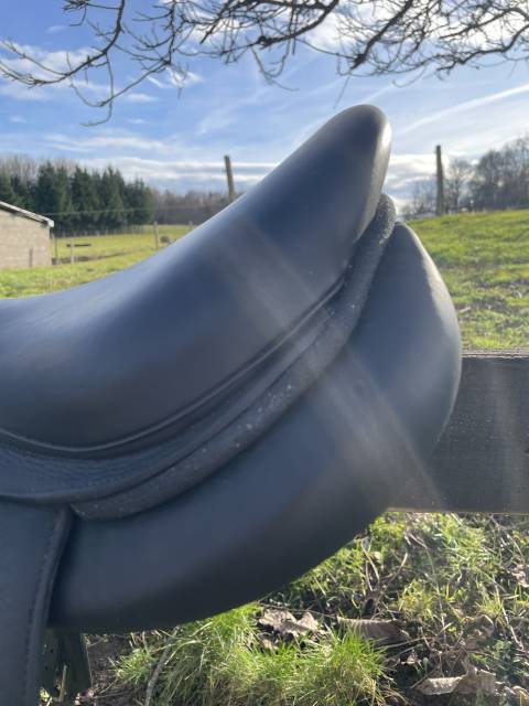 Selle forestier 