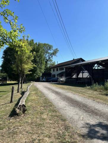 Beau domaine pour passionn&eacute;s de chevaux Colmar