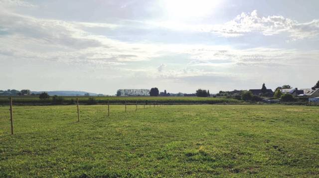 Prairies &agrave; louer &agrave; l'ann&eacute;e