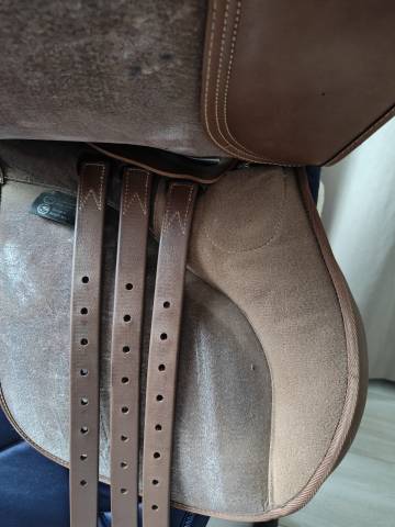 Selle Wintec mixte 17,5