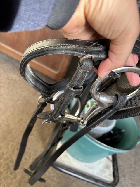 Filet + r&ecirc;nes taille cheval noir