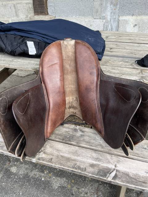Selle Guy cantin