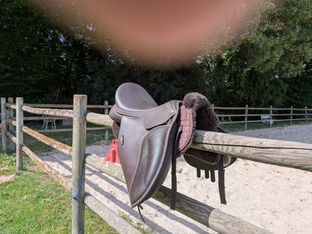Selle Wintec 500 Cair Hart Mixte 17,5