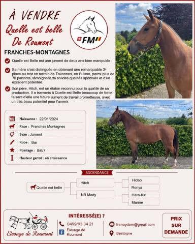 Franches montagnes 