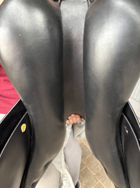 Selle Prestige GP2