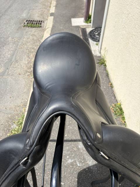 Selle Forestier 17' Aachen 