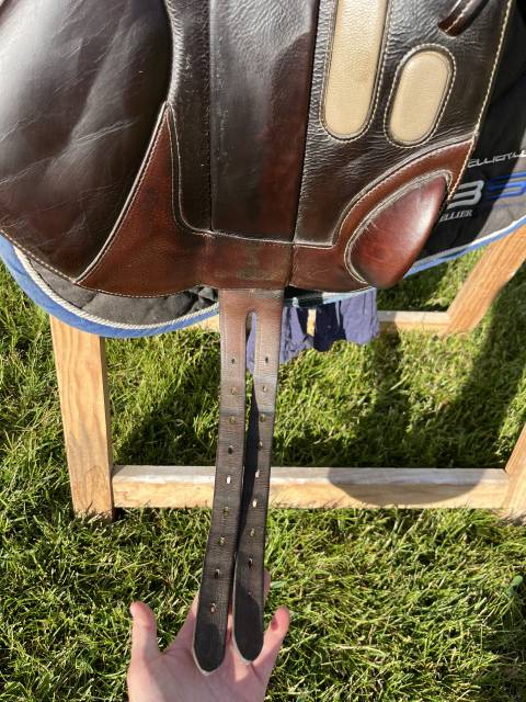 Selle GBS