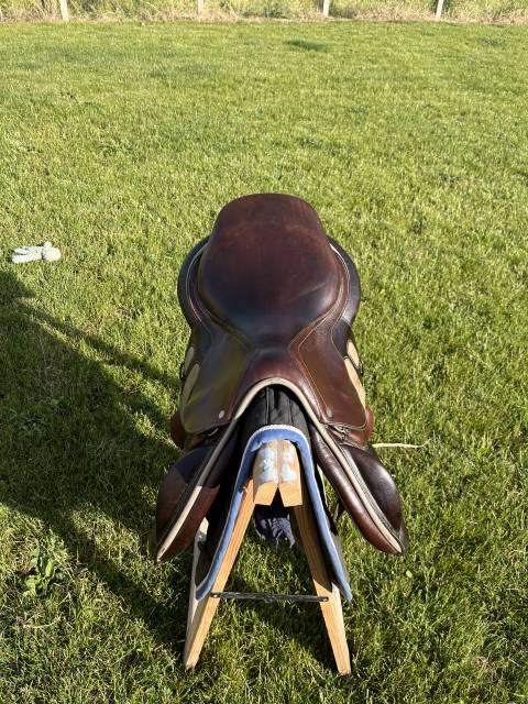 Selle GBS