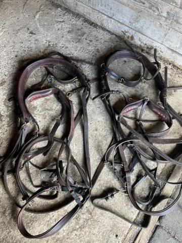Harnais en paire cuir marron 