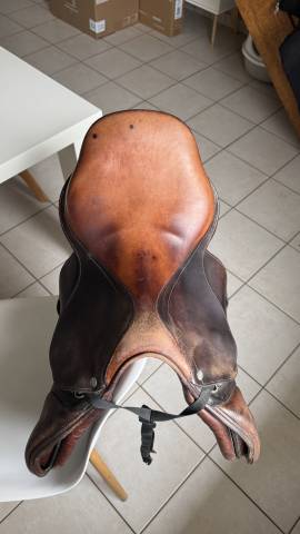 Selle Antares taille : 17   couleur : marron 