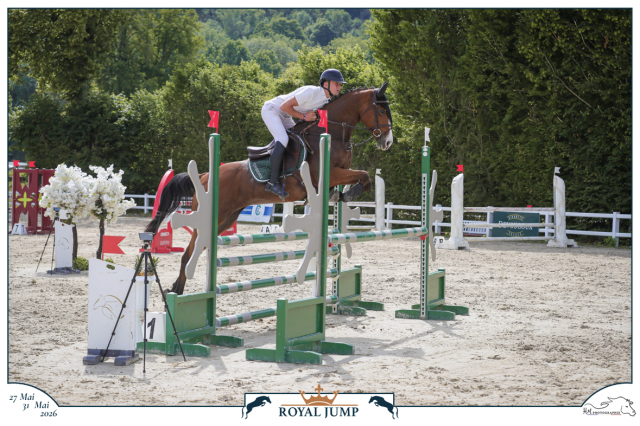 Flanelle de l&rsquo;oc&eacute;an jument 11 ans