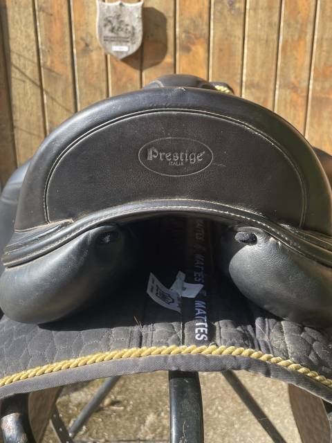 Prestige D1 K Monoquartier 17