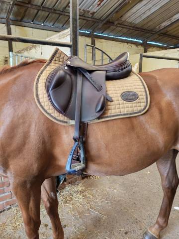 Selle prestige monoquartier &eacute;quip&eacute;e